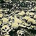 Requiem