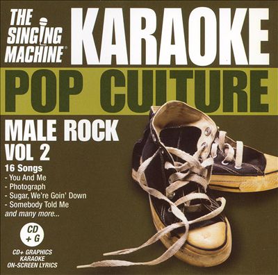 Pop Culture: Male Rock, Vol. 2
