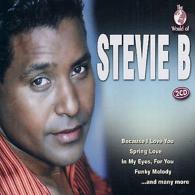 The World of Stevie B