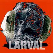 Larval