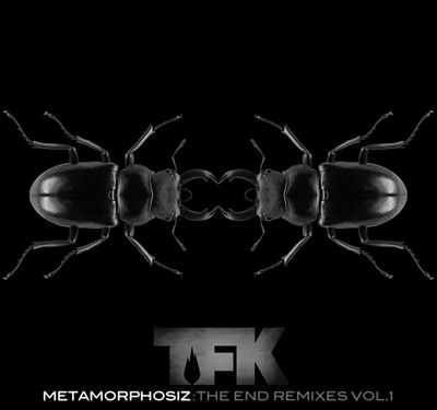 Metamorphosiz: The End Remixes, Vol. 1