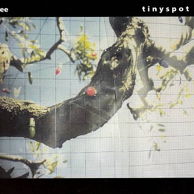 Tinyspot