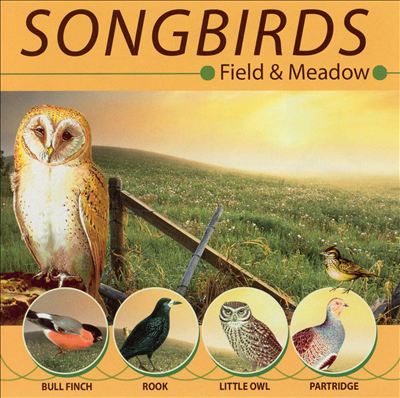 Songbirds: Field and Meadow