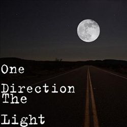 lataa albumi One Direction - The Light