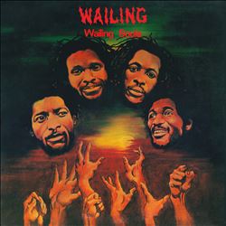 descargar álbum Wailing Souls - Wailing