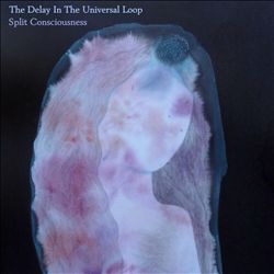 baixar álbum The Delay In The Universal Loop - Split Consciousness