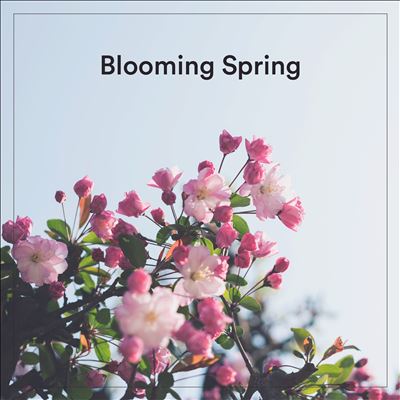 Blooming Spring