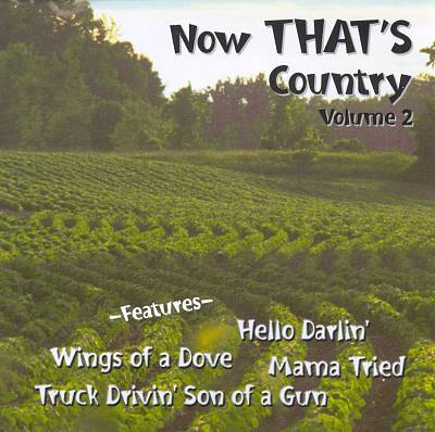 Now That's Country, Vol. 2