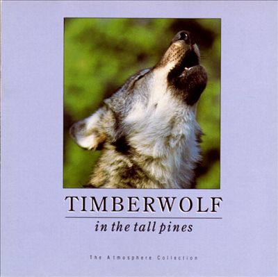 Timberwolf in the Tall Pines