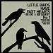 Little Birds Have Fast Hearts, No. 1