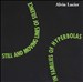 Alvin Lucier: Still and Moving Lines of Silence in Families of Hyperbolas