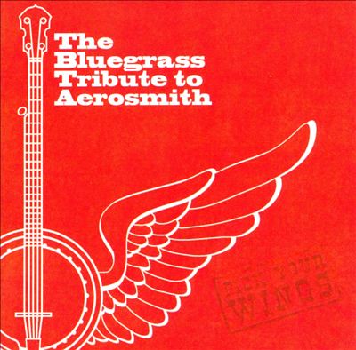 Bluegrass Tribute to Aerosmith