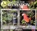 Music for Relaxation: Tropical Rain Forest