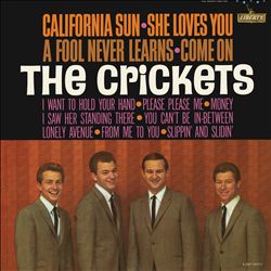 last ned album The Crickets - California Sun She Loves You
