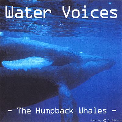 Water Voices -The Humpback Whales