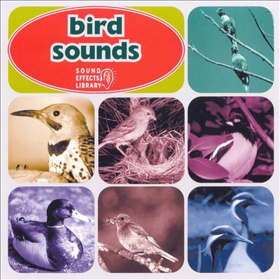 Bird Sounds [Columbia River]