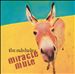 Miracle Mule