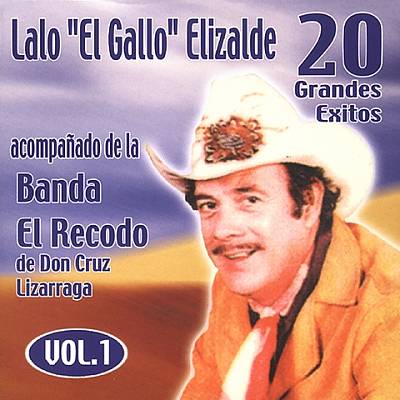 20 Exitos con Banda Recodo de Don Cruz Lizarrag, Vol. 1