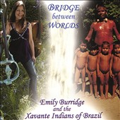 Bridge between Worlds