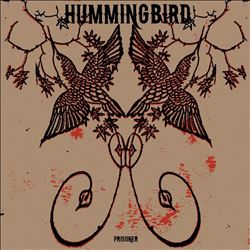 ladda ner album Hummingbird - Prisoner