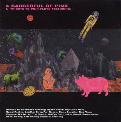 Saucerful of Pink: A Tribute to Pink Floyd