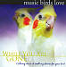 Music Birds Love: While You Are Gone