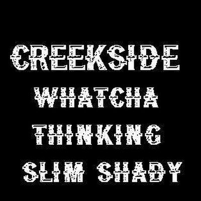 Whatcha Thinking Slim Shady?