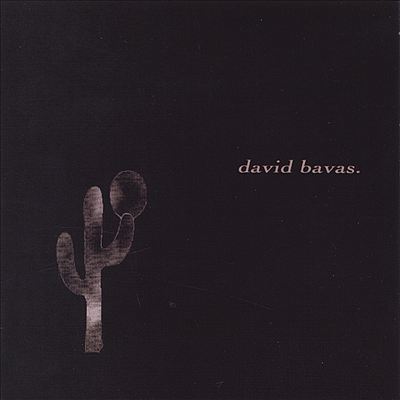 David Bavas and the Down Comforter