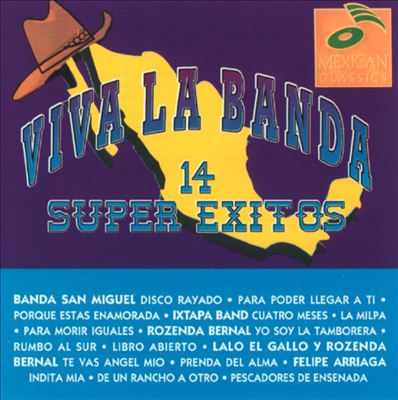 Viva La Banda: 14 Super Exitos