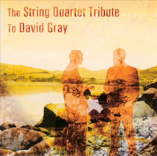 The String Quartet Tribute to David Gray