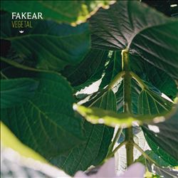 ladda ner album Fakear - Vegetal