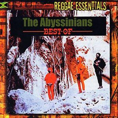 The Best of Abyssinians