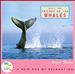 Music for Friends of the Whales