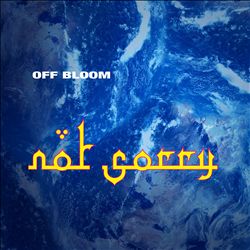 descargar álbum Off Bloom - Not Sorry