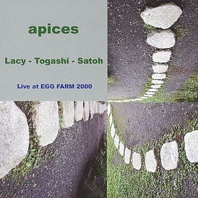 Apis-Lacy: Togashi. Satoh Live at Egg Farm