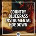 Country/Bluegrass Instrumental Hoe Down