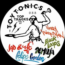 ladda ner album Various - Top Tracks Vol 6