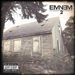 The Marshall Mathers LP 2