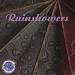 Nature's Rhythms: Rainshowers