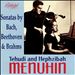 Sonatas by Beethoven, Brahms and Bach