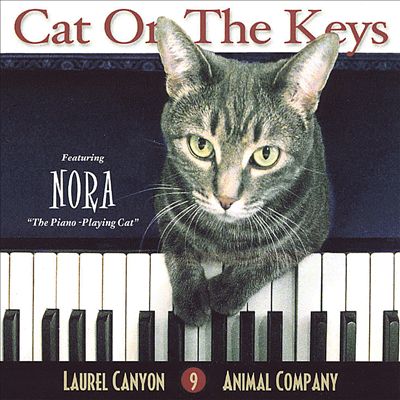 Cat on the Keys