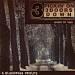 Down to This: Pickin' on 3 Doors Down