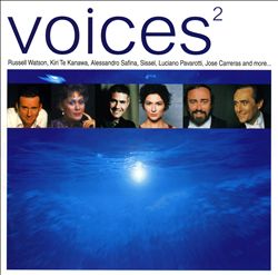 descargar álbum Download Various - Voices 2 album