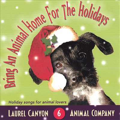 Bring an Animal Home for the Holidays