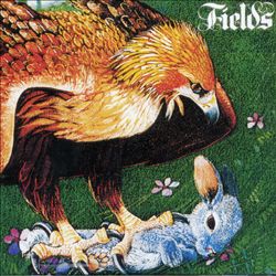 last ned album Fields - Fields