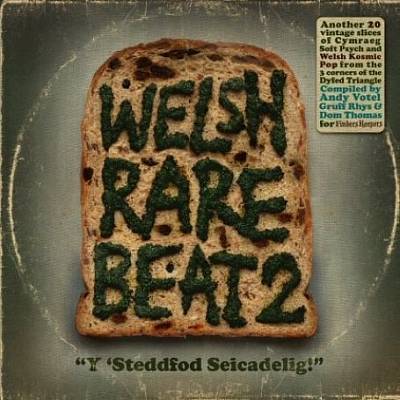 Welsh Rare Beat, Vol. 2