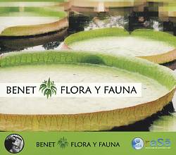 ladda ner album Benet - Flora Y Fauna