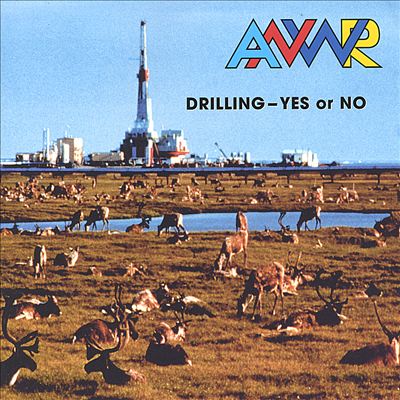 Drilling - Yes or No