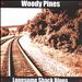 Lonesome Shack Blues