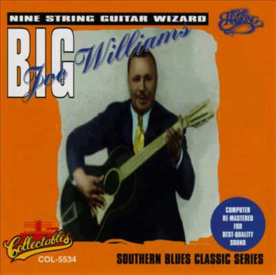 Nine String Guitar Wizard